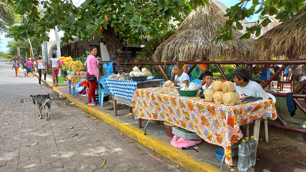Vendedoras de coco