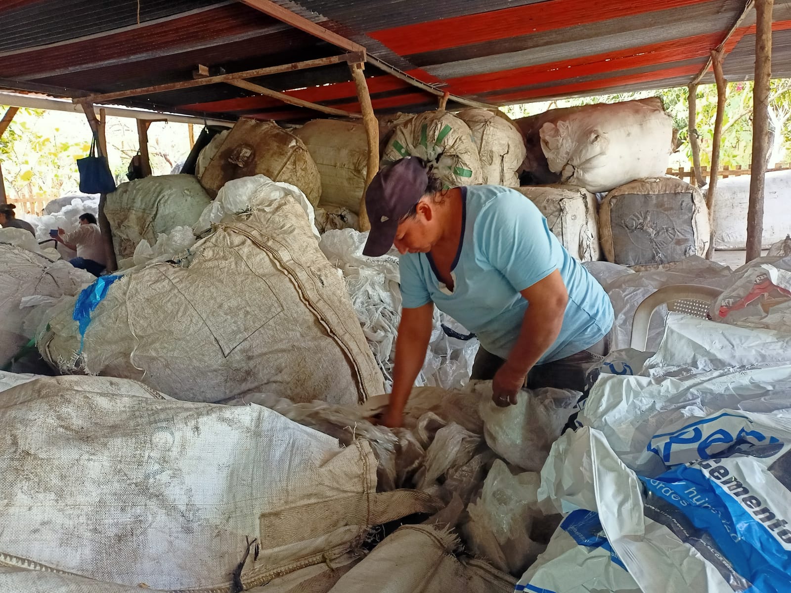 Trabajadores de Recicladora Bermúdez en labores de selección del plástico.